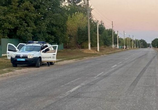 В Одесской области произошло необычное ДТП с участием коровы