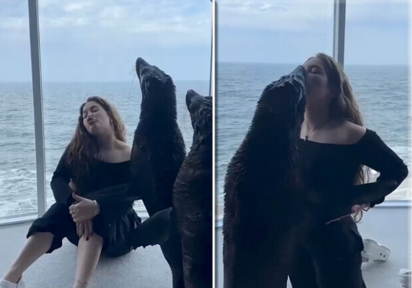 Фотографировались с морскими котиками в номере: чем закончился скандал в дельфинарии "Немо" в Одессе