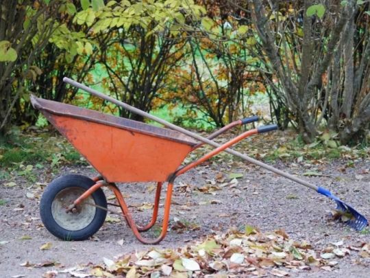 Готуйте ями для саджанців: що робити в саду у листопаді