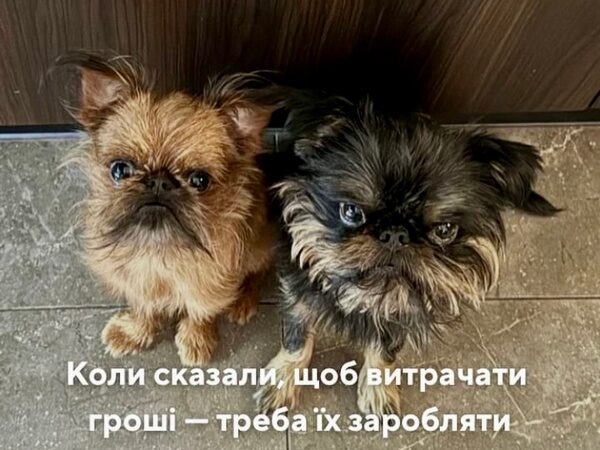&laquo;Розсмішили&raquo;: мережа відреагувала на&nbsp;світлини домашніх улюбленців відомого шеф-кухаря