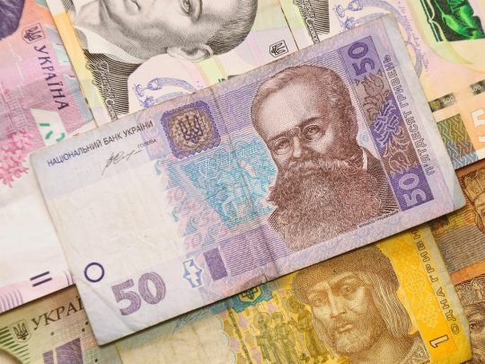 Є&nbsp;лише 14 днів на&nbsp;виправлення даних: кому можуть відмовити у&nbsp;призначенні субсидії та&nbsp;як&nbsp;цього уникнути