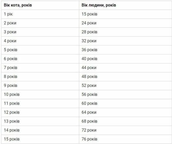Більше 10 років? Пора на «пенсію»: як співвідноситься вік котів і людей