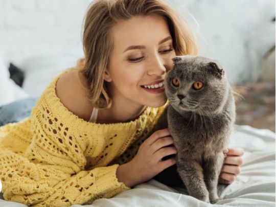 Більше 10 років? Пора на «пенсію»: як співвідноситься вік котів і людей