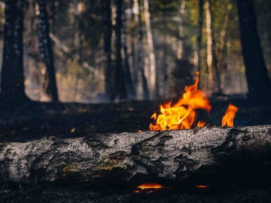 Киян просять закрити вікна та&nbsp;пити більше води: що&nbsp;відбувається