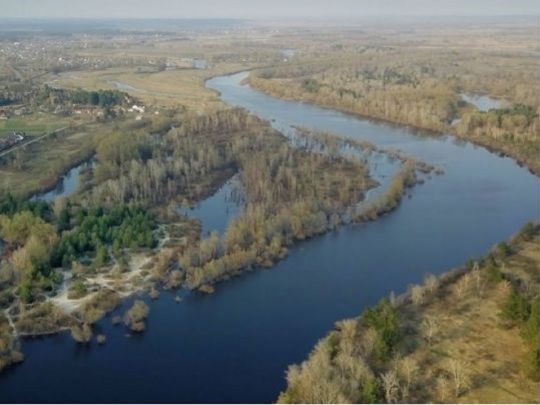 Отрута прийде за два дні: Київ готується зустрічати забруднені росіянами води Десни