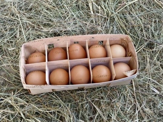 Чи&nbsp;можна їсти яйця щодня: експерти розвіяли сумніви
