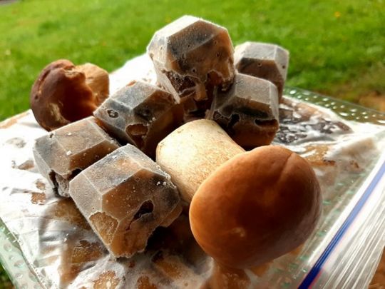 Як&nbsp;заморозити білі гриби для супу: простий рецепт досвідченої кулінарки