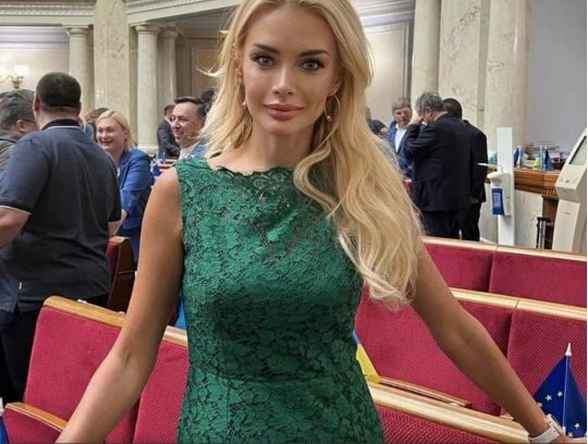 Нардепку Кормишкіну відпустили на&nbsp;поруки Давида Арахамії та&nbsp;Віталія Кіма,&nbsp;&mdash; САП