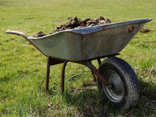 Тільки нашкодите: чим восени не потрібно удобрювати землю на ділянці