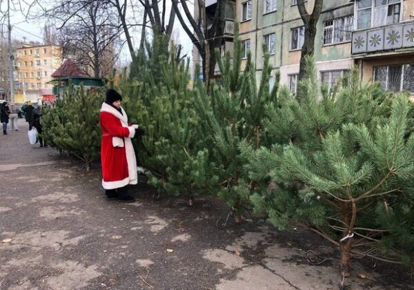 Праздник приближается: где в Одессе есть елочные базары