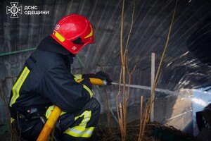 В Одесском районе вспыхнули домики на причале: подробности пожара