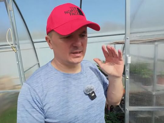Влаштуйте день відкритих дверей: аграрій з Київщини розповів, як регулювати температуру у розсаднику