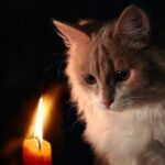 Масштабные отключения на весь день: где в Одессе в среду нет света