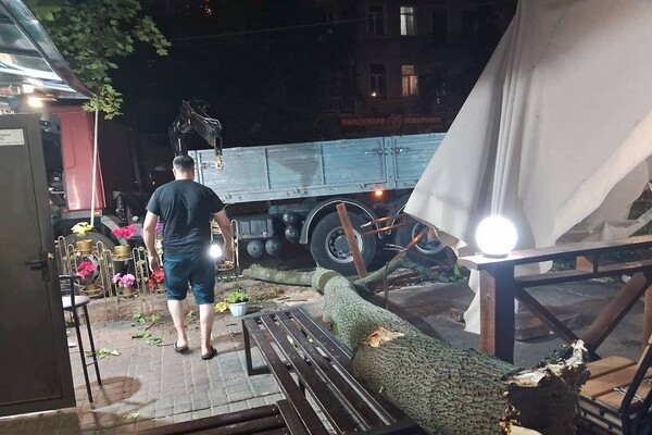 Деревопад, повреждение автомобилей и киоска: последствия ночного ненастья в Одессе