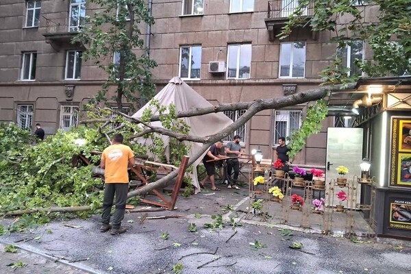 Деревопад, повреждение автомобилей и киоска: последствия ночного ненастья в Одессе
