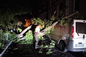 Деревопад, повреждение автомобилей и киоска: последствия ночного ненастья в Одессе