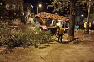 Деревопад, повреждение автомобилей и киоска: последствия ночного ненастья в Одессе