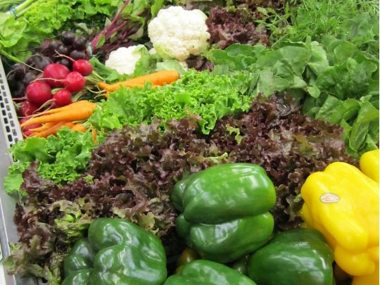 Подешевшали й будуть падати в ціні й надалі: які продукти в Україні стали доступнішими