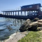 В Одессе «цветет» Черное море: что говорят экологи