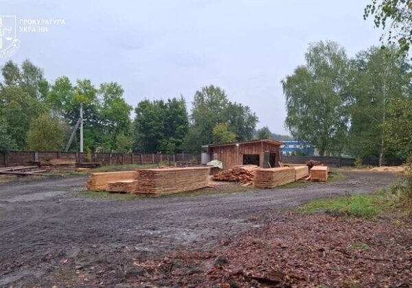 В Одесской области перекрыли канал контрабанды леса в Молдову: среди подозреваемых &mdash; депутат