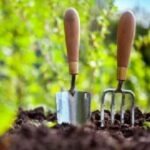 Посів моркви «під зиму»: два перевірені способи та їх «плюси»