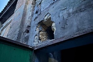 В Одесском зоопарке обнаружили нарушения: бюджет понес убытки более чем на 2,5 миллиона гривен